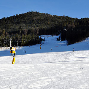 Dolni Morava